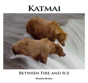 bears of katmai
